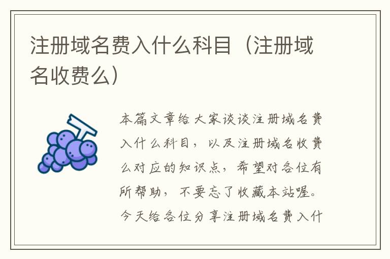 注册域名费入什么科目(注册域名收费么)