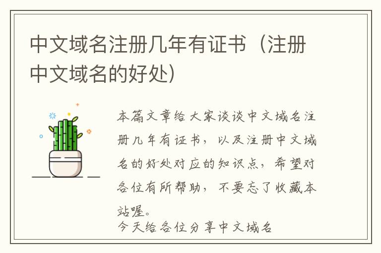 中文域名注册几年有证书(注册中文域名的好处)
