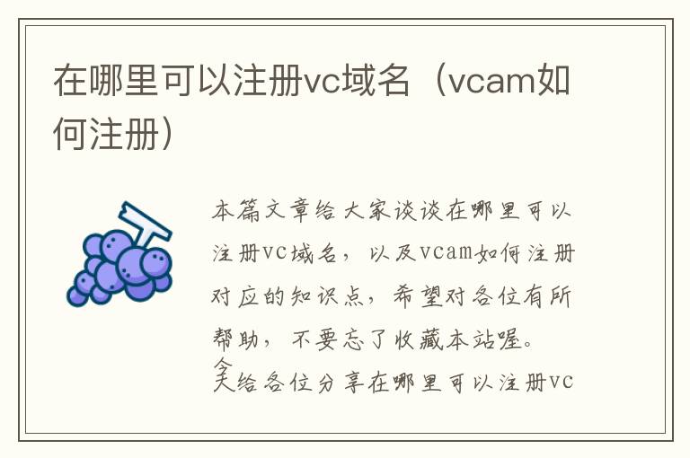 在哪里可以注册vc域名(vcam如何注册)