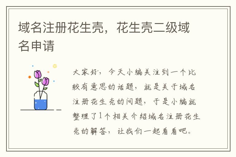 域名注册花生壳,花生壳二级域名申请