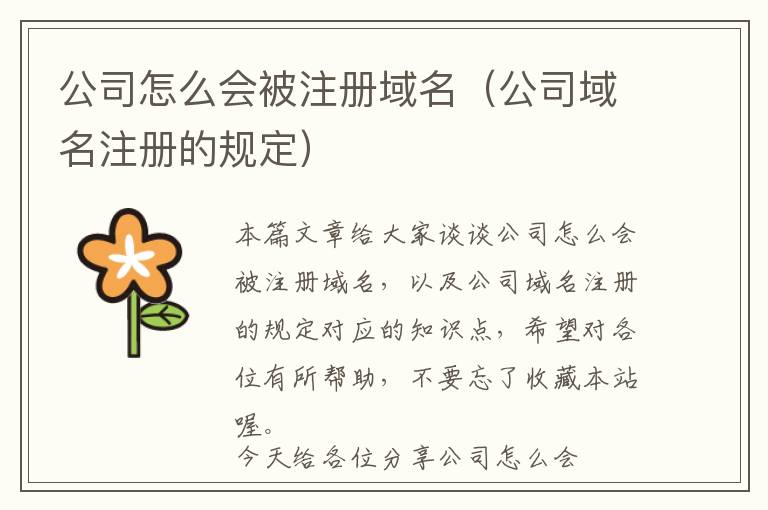 公司怎么会被注册域名(公司域名注册的规定)