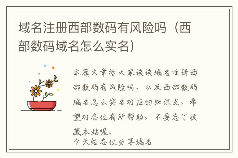 域名注册西部数码有风险吗(西部数码域名怎么实名)