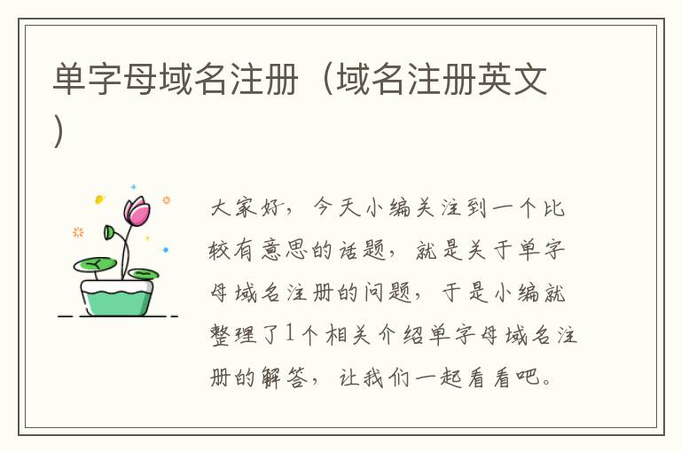 单字母域名注册(域名注册英文)