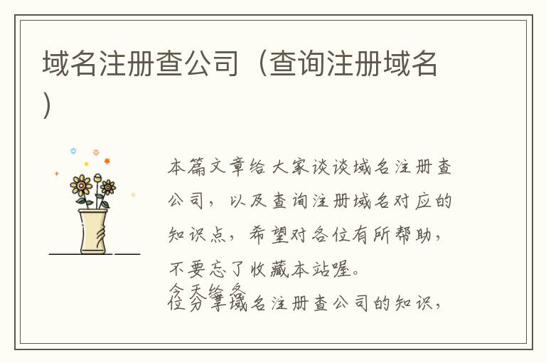 域名注册查公司(查询注册域名)