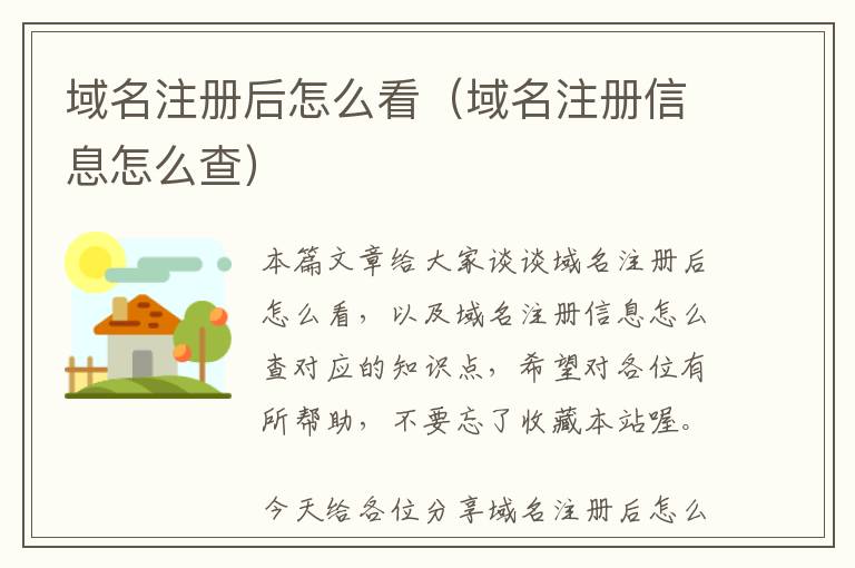 域名注册后怎么看(域名注册信息怎么查)