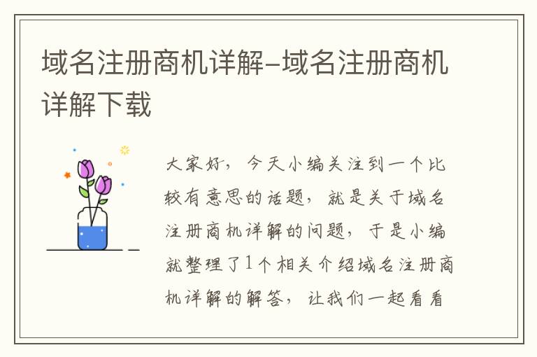 域名注册商机详解-域名注册商机详解下载