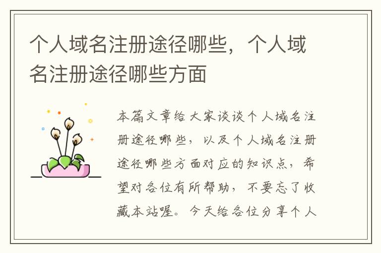 个人域名注册途径哪些,个人域名注册途径哪些方面
