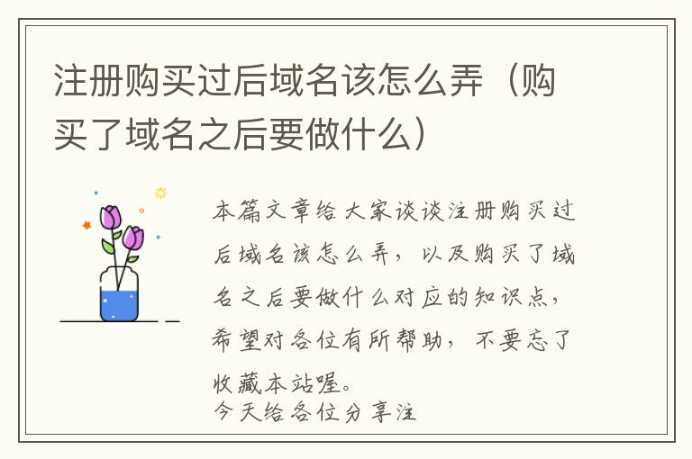 注册购买过后域名该怎么弄(购买了域名之后要做什么)