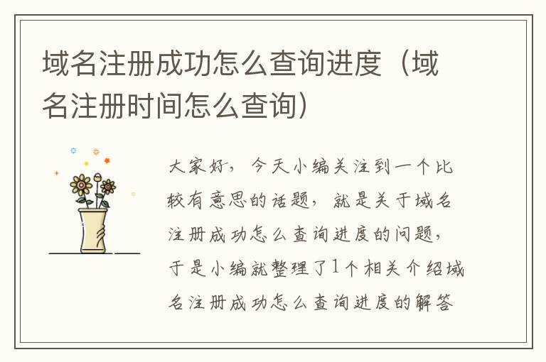 域名注册成功怎么查询进度(域名注册时间怎么查询)