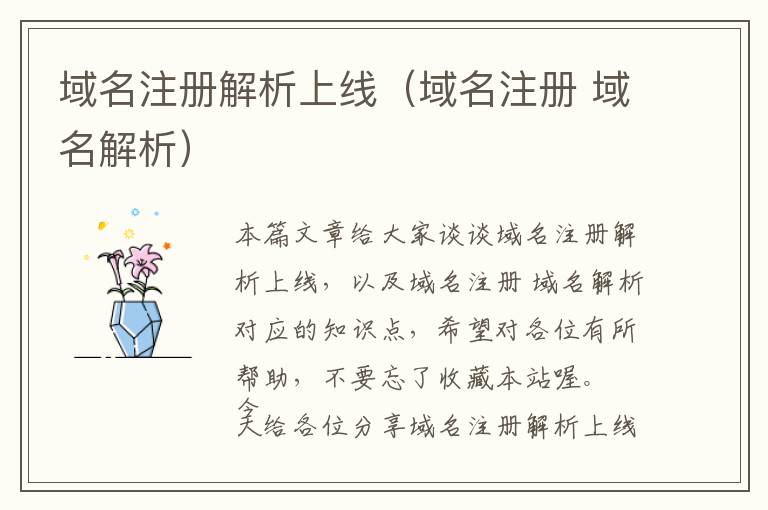 域名注册解析上线(域名注册 域名解析)