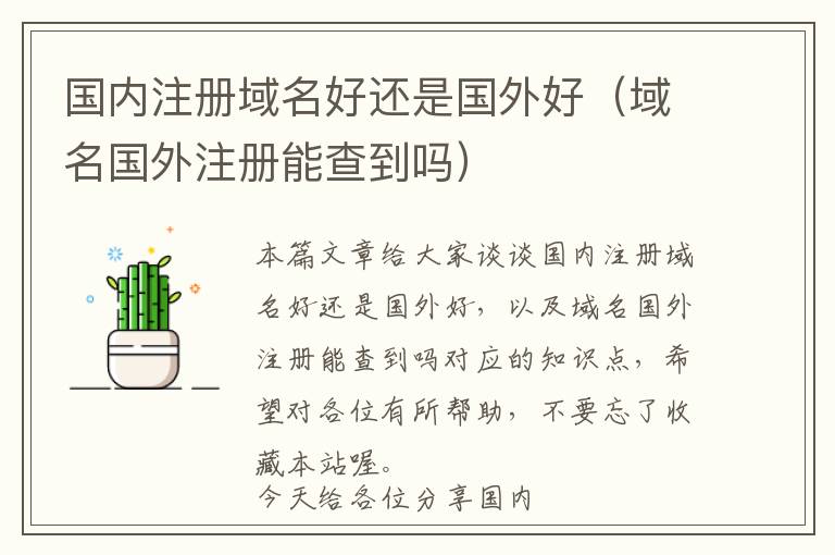 国内注册域名好还是国外好(域名国外注册能查到吗)