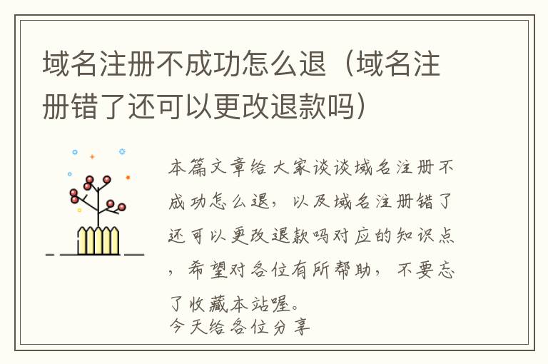 域名注册不成功怎么退(域名注册错了还可以更改退款吗)