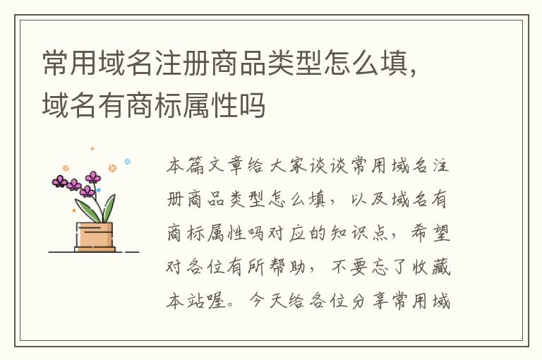 常用域名注册商品类型怎么填,域名有商标属性吗