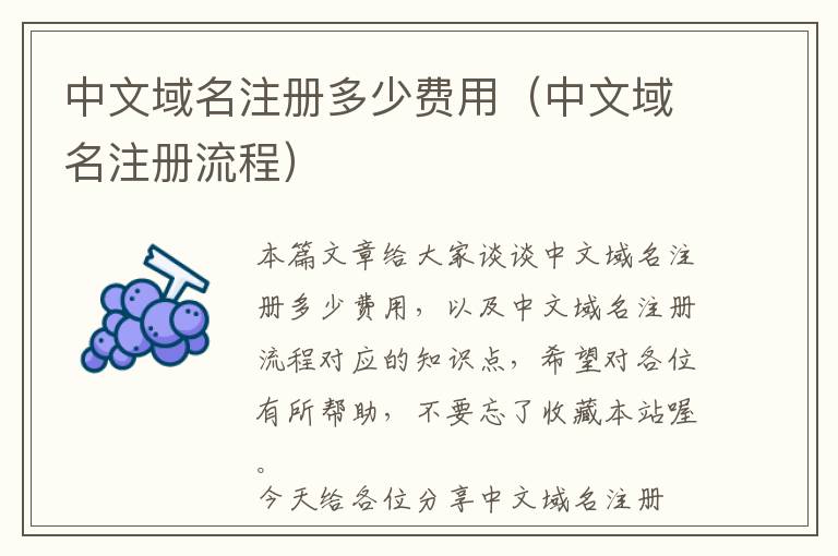 中文域名注册多少费用(中文域名注册流程)
