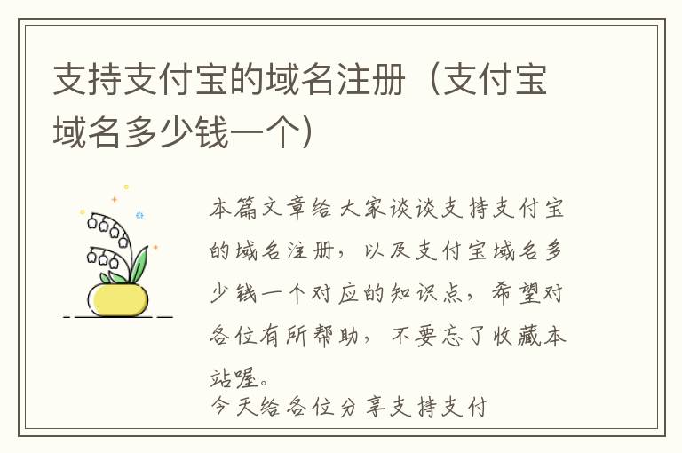 支持支付宝的域名注册(支付宝域名多少钱一个)