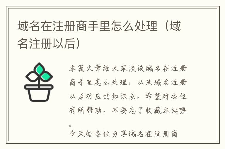 域名在注册商手里怎么处理(域名注册以后)