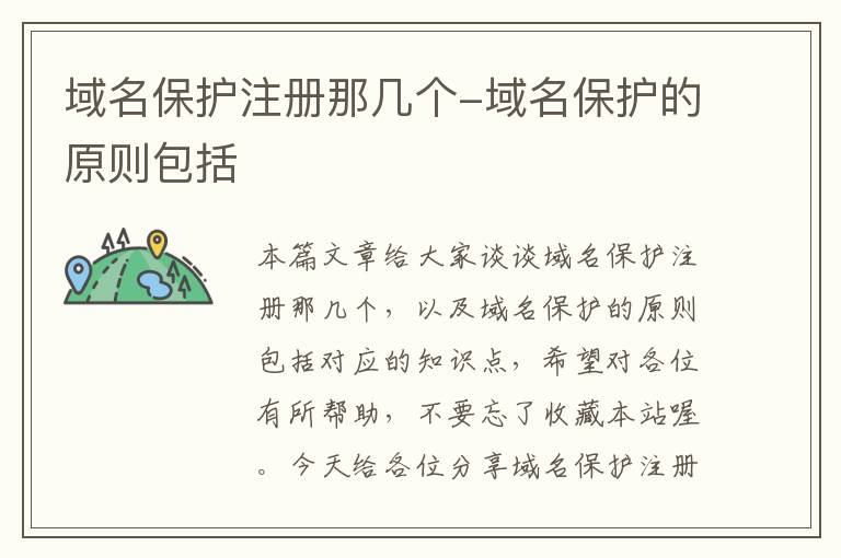 域名保护注册那几个-域名保护的原则包括
