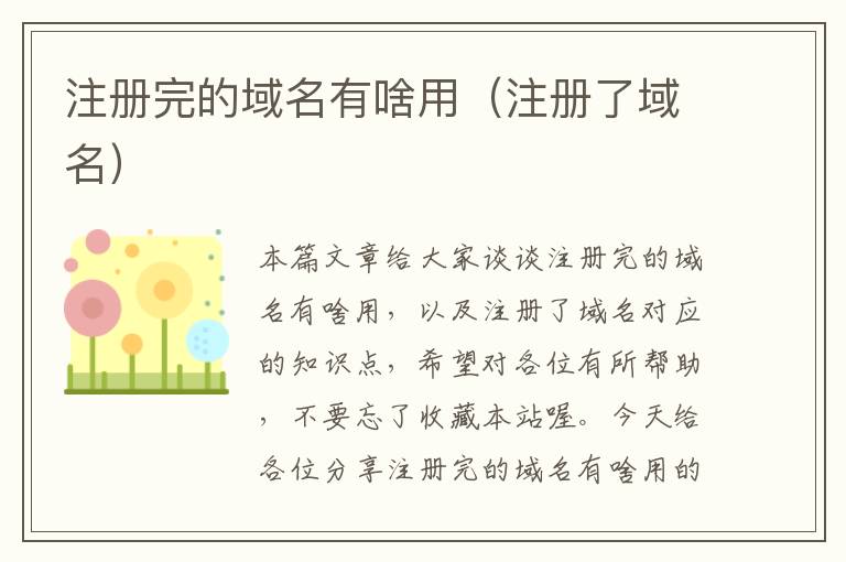 注册完的域名有啥用(注册了域名)