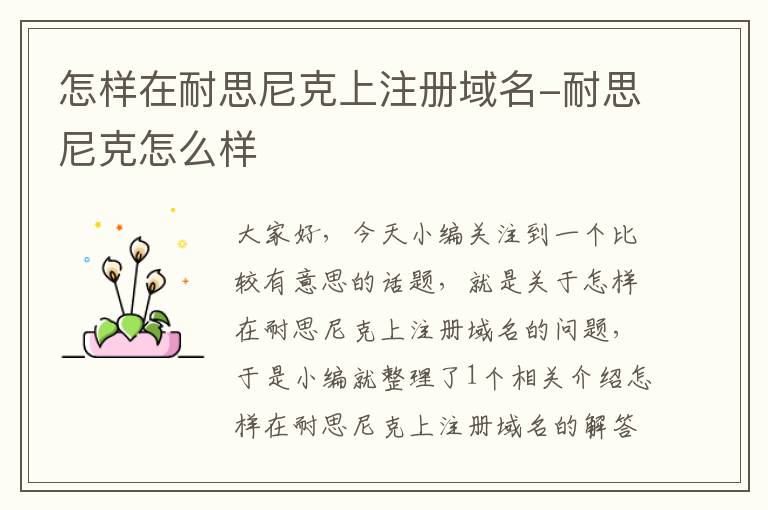 怎样在耐思尼克上注册域名-耐思尼克怎么样