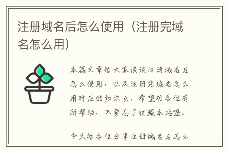 注册域名后怎么使用(注册完域名怎么用)
