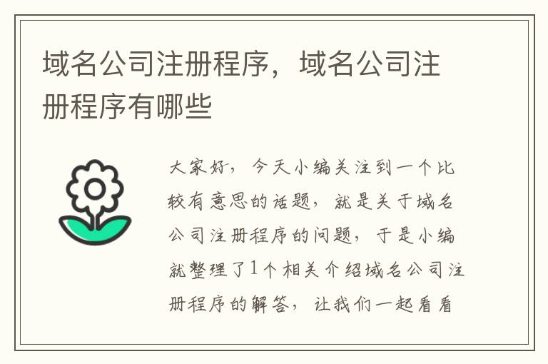 域名公司注册程序,域名公司注册程序有哪些