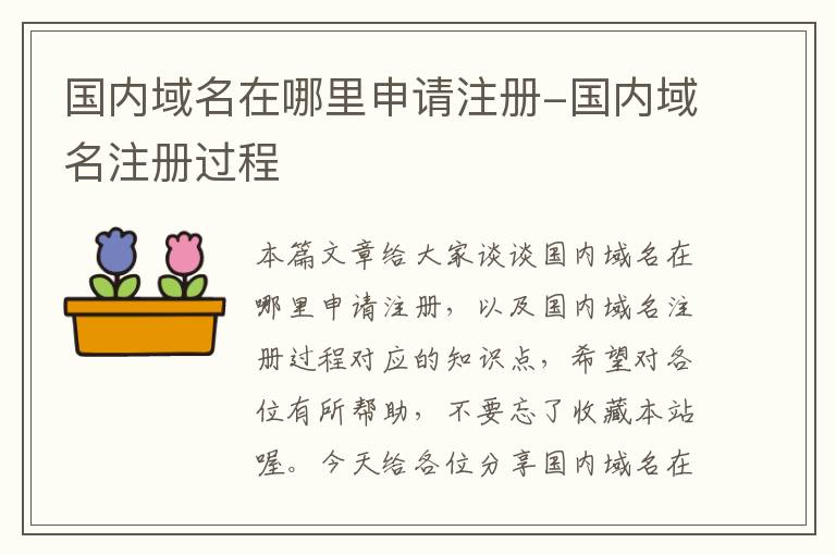 国内域名在哪里申请注册-国内域名注册过程