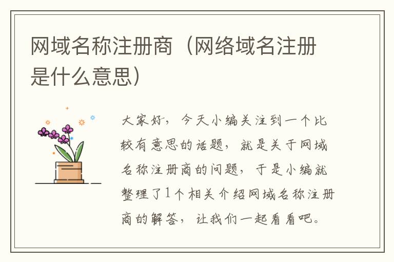 网域名称注册商(网络域名注册是什么意思)