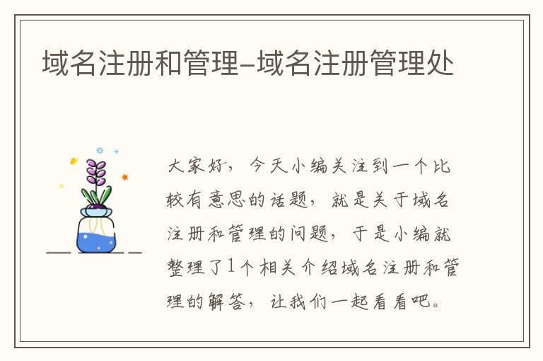 域名注册和管理-域名注册管理处