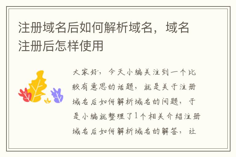 注册域名后如何解析域名,域名注册后怎样使用