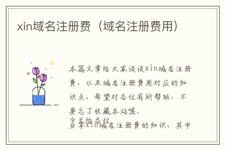 xin域名注册费（域名注册费用）