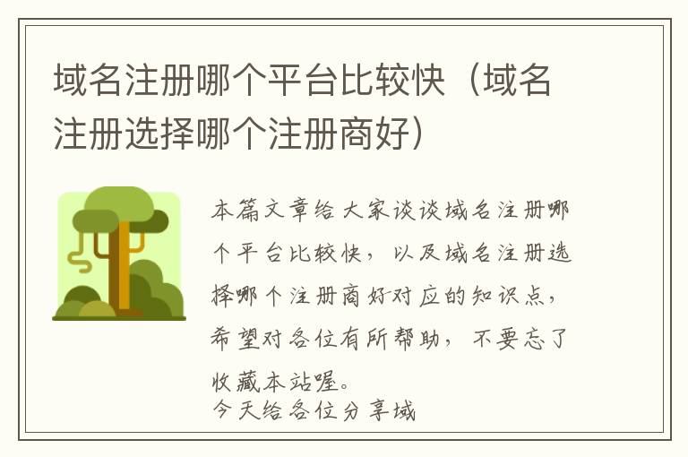 域名注册哪个平台比较快（域名注册选择哪个注册商好）