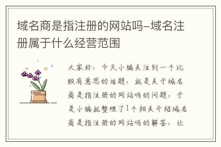 域名商是指注册的网站吗-域名注册属于什么经营范围