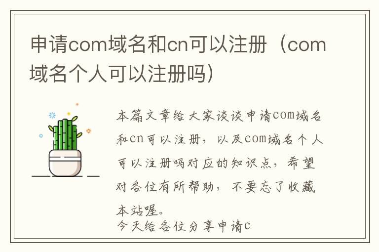 申请com域名和cn可以注册(com域名个人可以注册吗)