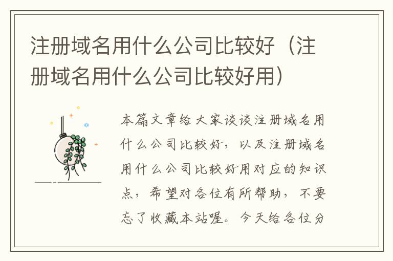 注册域名用什么公司比较好(注册域名用什么公司比较好用)