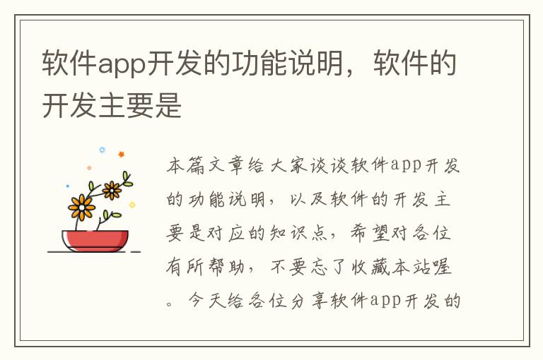 软件app开发的功能说明,软件的开发主要是