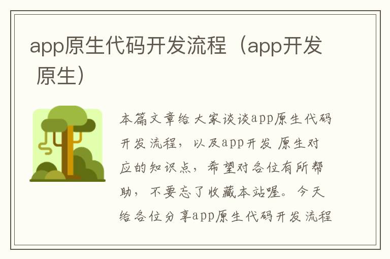 app原生代码开发流程(app开发 原生)