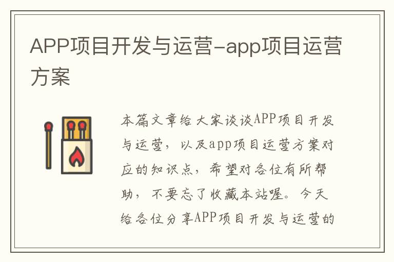 APP项目开发与运营-app项目运营方案