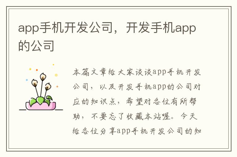app手机开发公司,开发手机app的公司