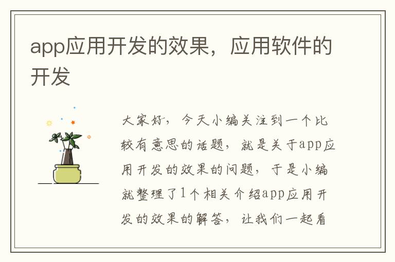 app应用开发的效果,应用软件的开发