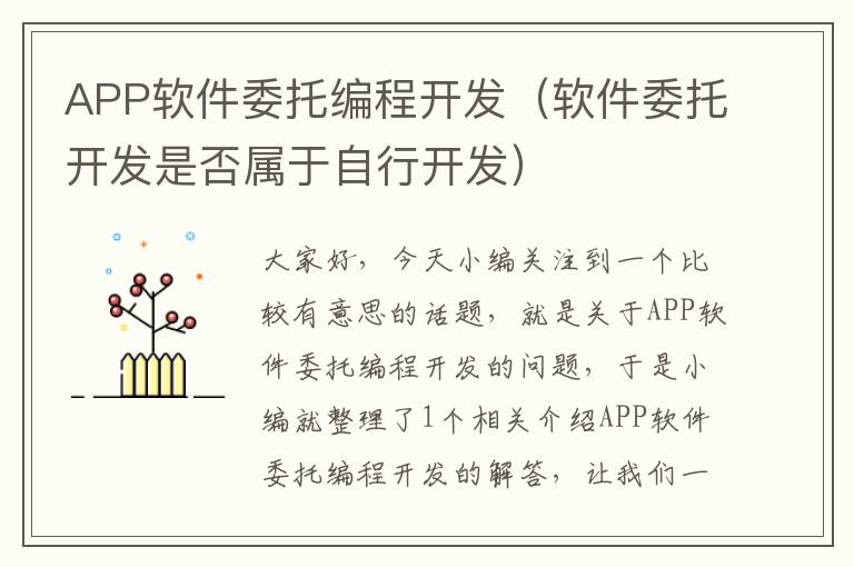 APP软件委托编程开发(软件委托开发是否属于自行开发)