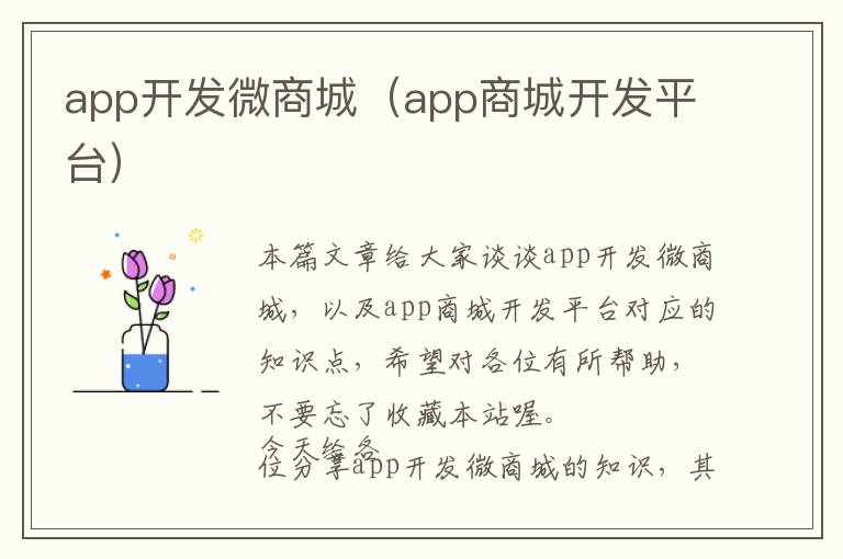 app开发微商城(app商城开发平台)