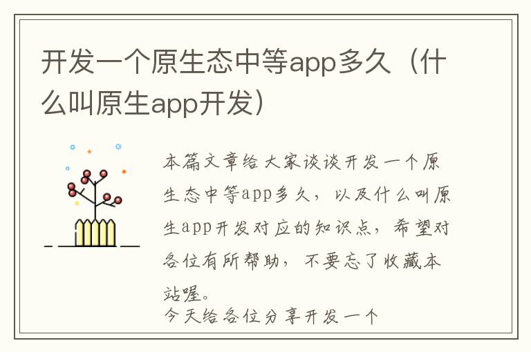 开发一个原生态中等app多久(什么叫原生app开发)