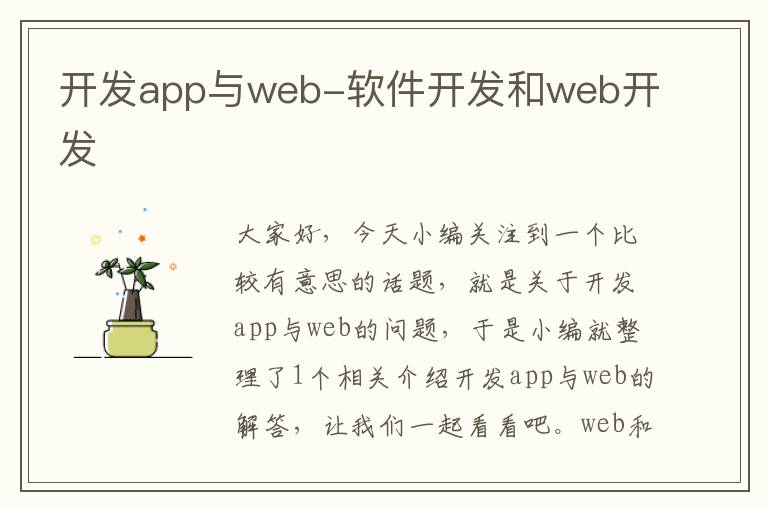 开发app与web-软件开发和web开发