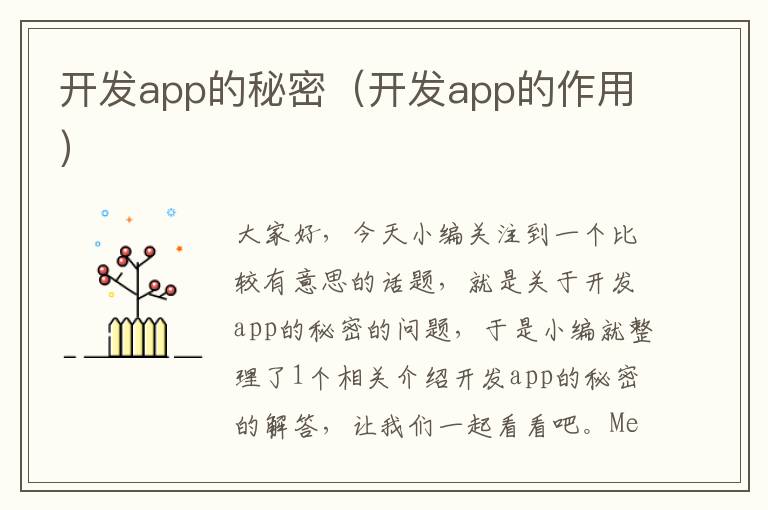 开发app的秘密（开发app的作用）