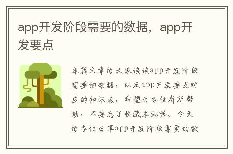 app开发阶段需要的数据,app开发要点