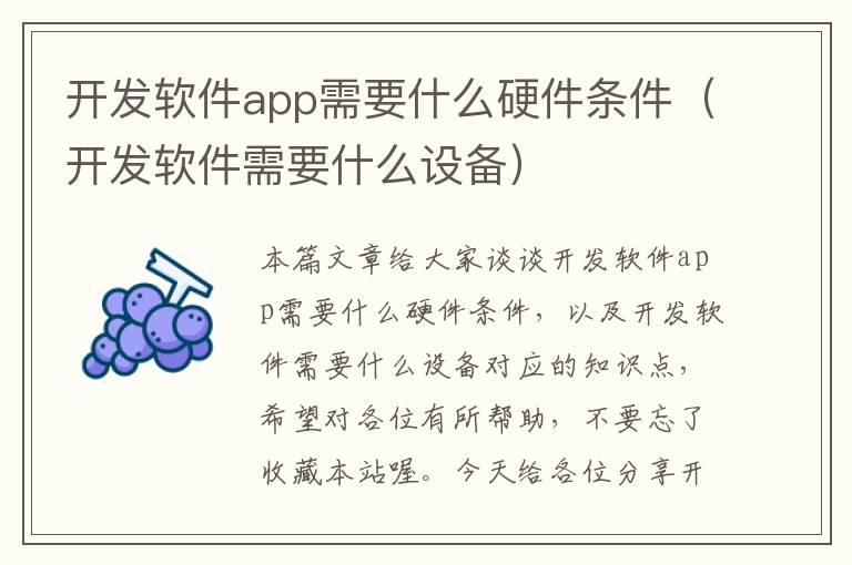 开发软件app需要什么硬件条件(开发软件需要什么设备)