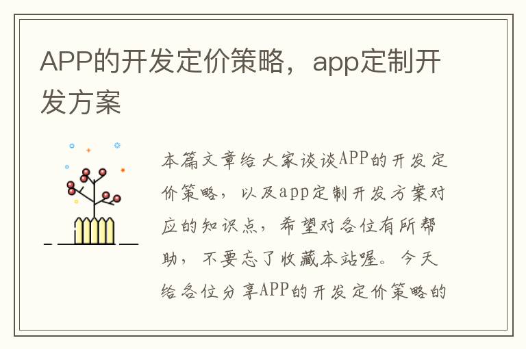 APP的开发定价策略,app定制开发方案