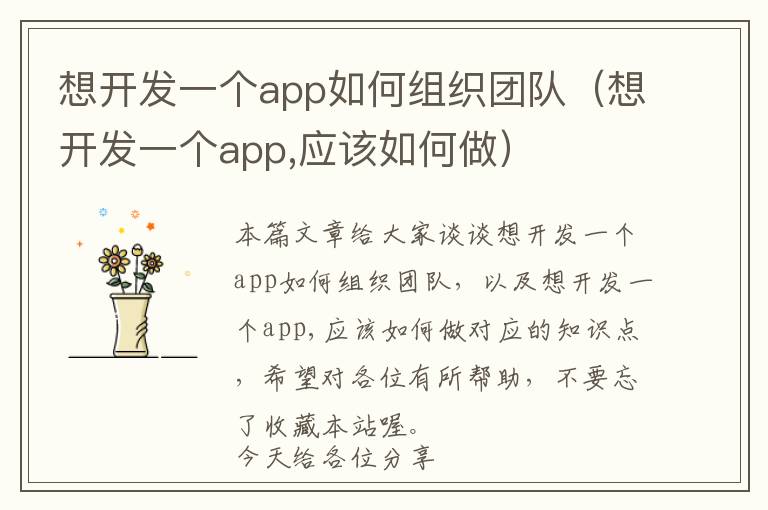 想开发一个app如何组织团队(想开发一个app,应该如何做)