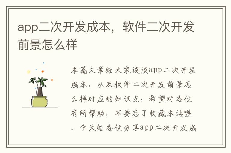 app二次开发成本,软件二次开发前景怎么样