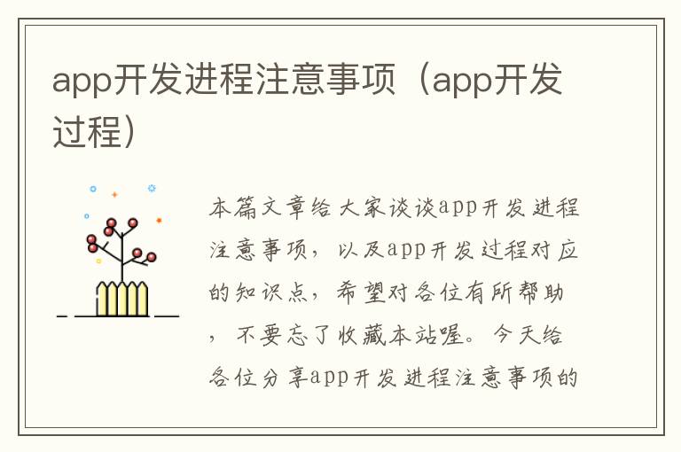 app开发进程注意事项(app开发过程)